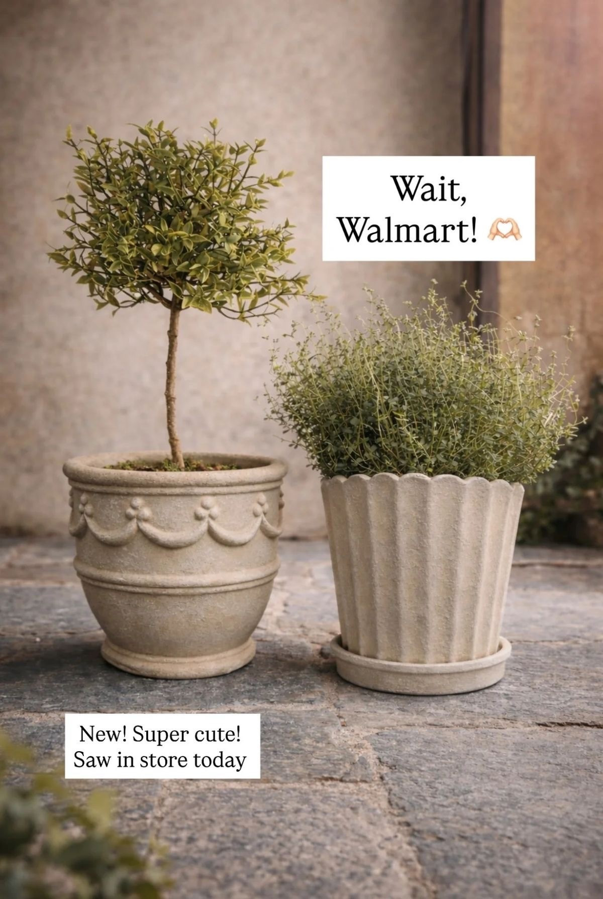 Walmart planters that look straight out of Pottery Barn 😍🌿
Stunning, high end vibes at prices that make it an easy yes 🤍

The quickest way to upgrade your home and make everything feel fresh, styled, and elevated ✨
Run before these sell out 💨

#WalmartFinds #HomeGlowUp #PlanterStyle #LuxuryForLess

#LTKMothersDay #LTKFestival #LTKxAerie