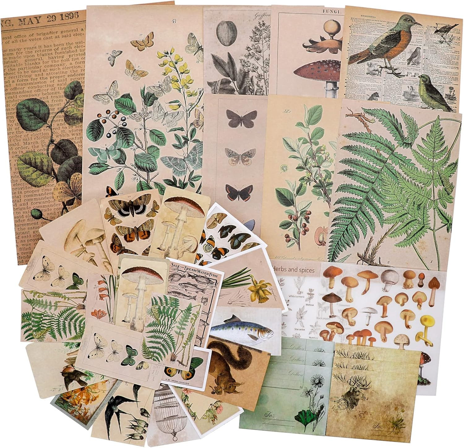 Knaid Vintage Scrapbooking Stickers Pack, Decorative Plants Flower Butterfly Mushroom Paper Decals N | Amazon (US)