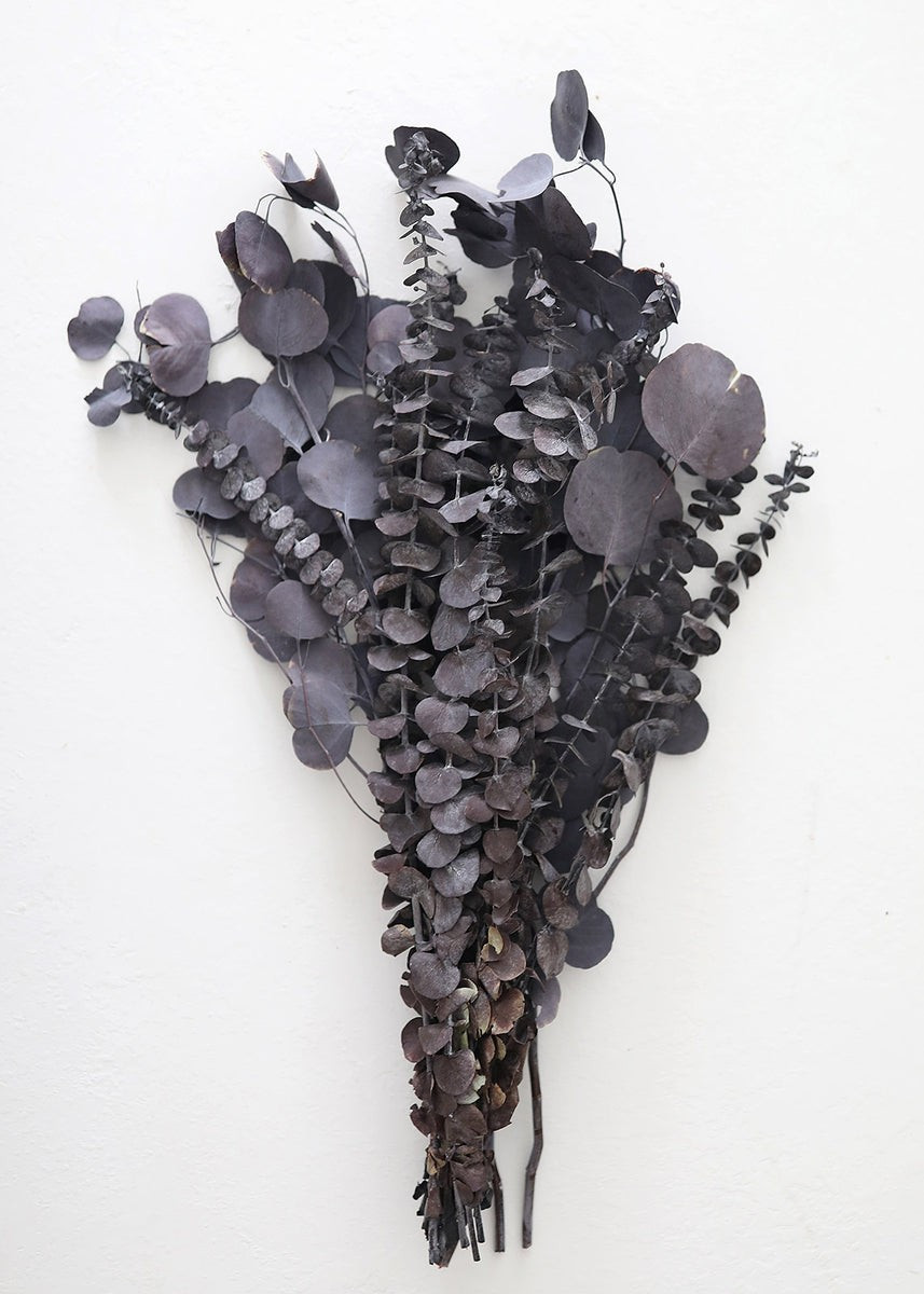 Preserved Black Purple Mixed Eucalyptus Bundle - 22-32" | Afloral (US)