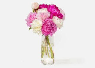 The Alaskan Peony | UrbanStems