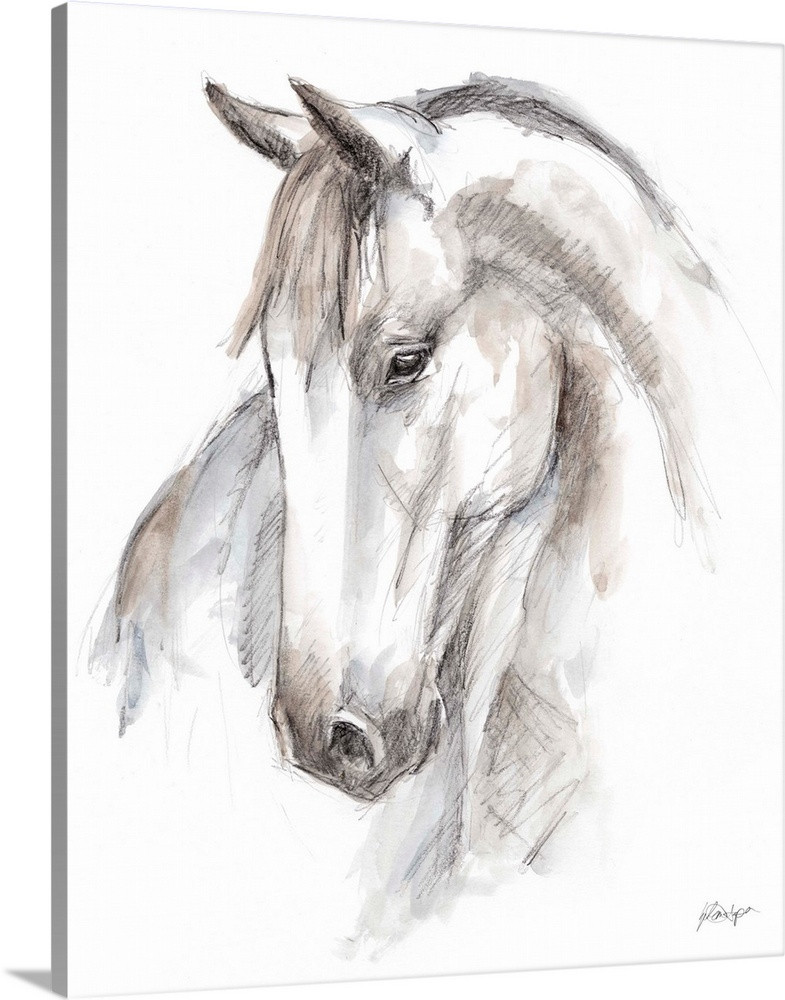 Watercolor Equine Study II Wall Art | Great Big Canvas - Dynamic