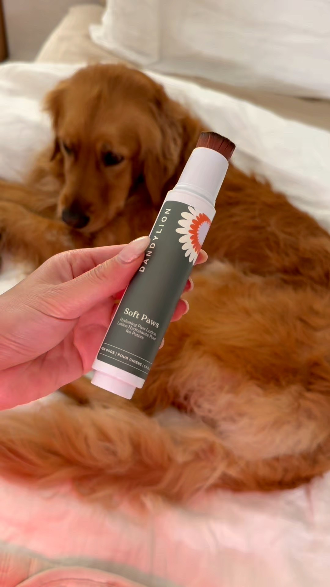 Loving this new paw balm from Dandylion! It’s so easy to apply & makes her paws so so soft! 

#LTKPets