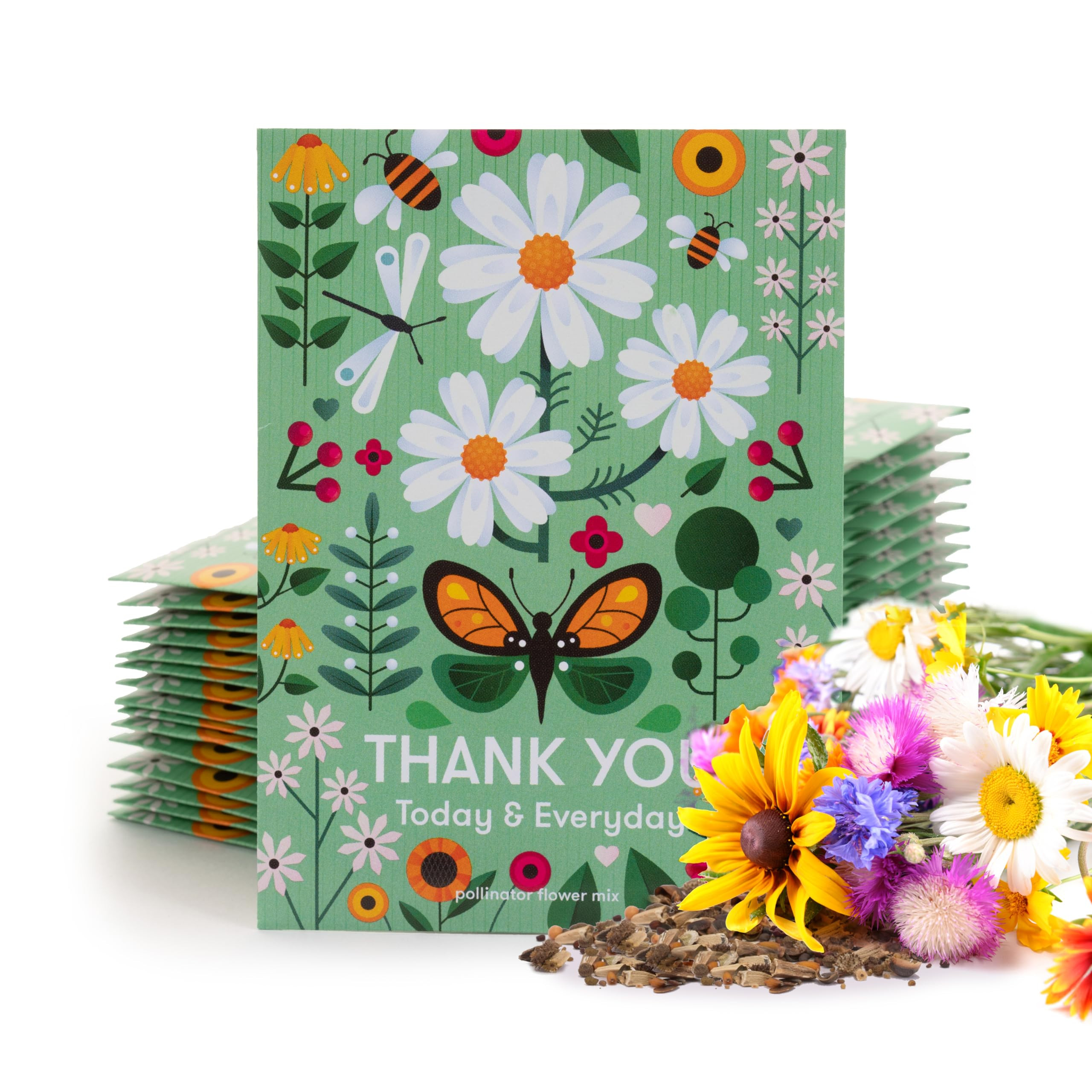 Bentley Seed Co. Thank You Packet - Pollinator Flower Mix - 25 Seed Packets - Perfect Eco-Friendl... | Amazon (US)