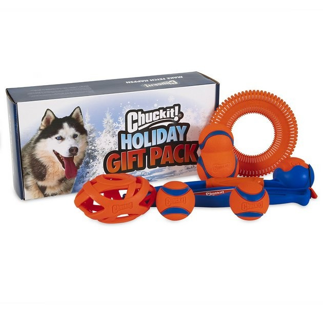 Chuckit! Holiday Dog Toy Box, Blue | Chewy.com