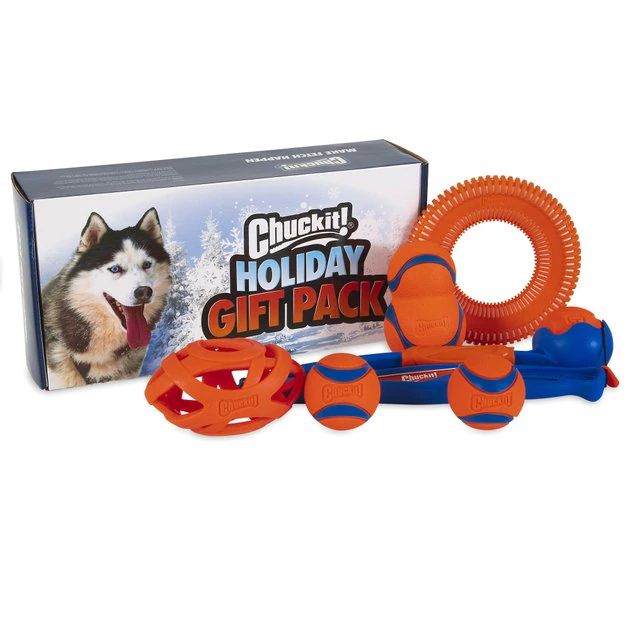 Chuckit! Holiday Dog Toy Box, Blue | Chewy.com