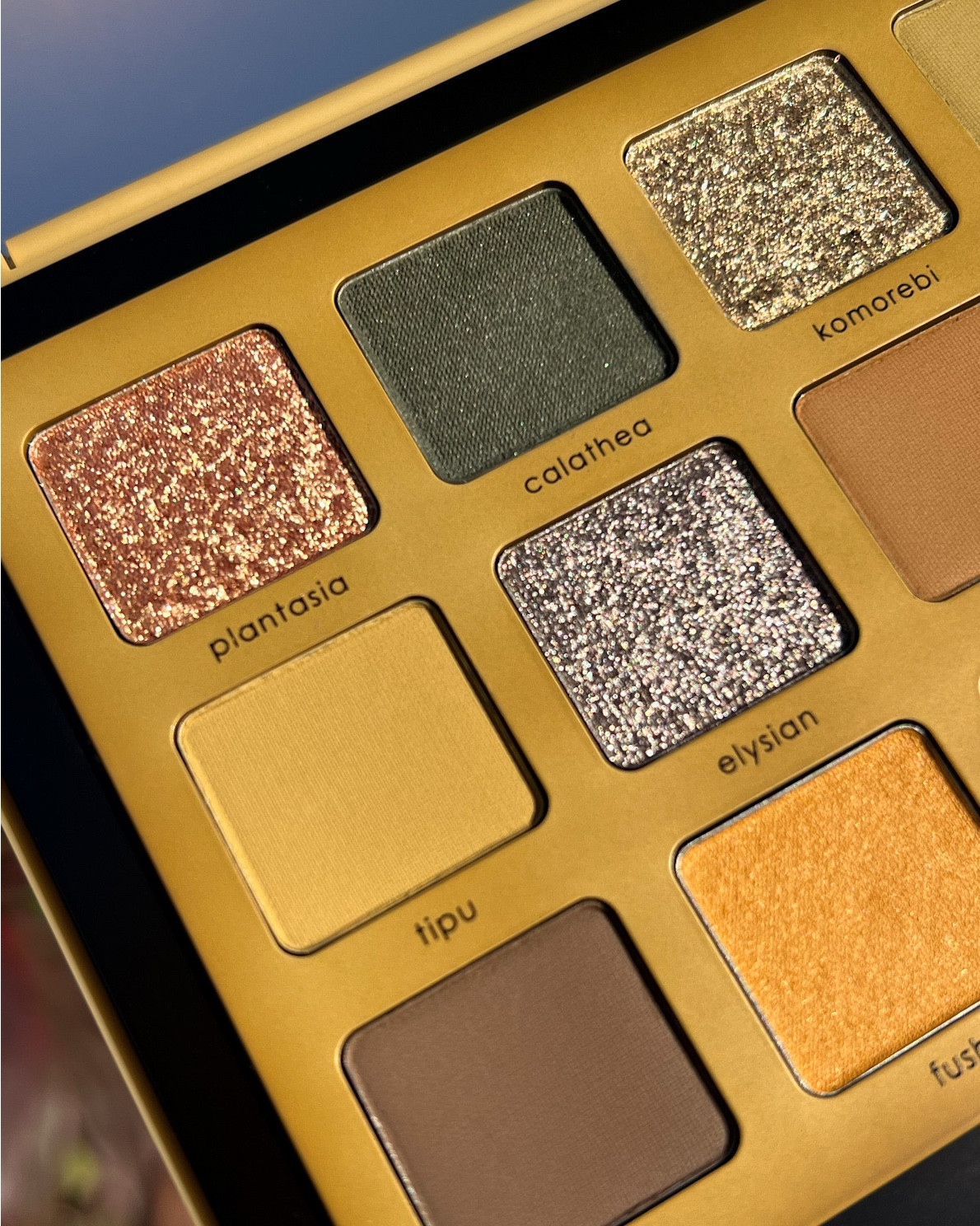 Close-ups of the Natasha Denona Yucca Palette✨

#LTKgrwm #LTKBeauty #LTKootd