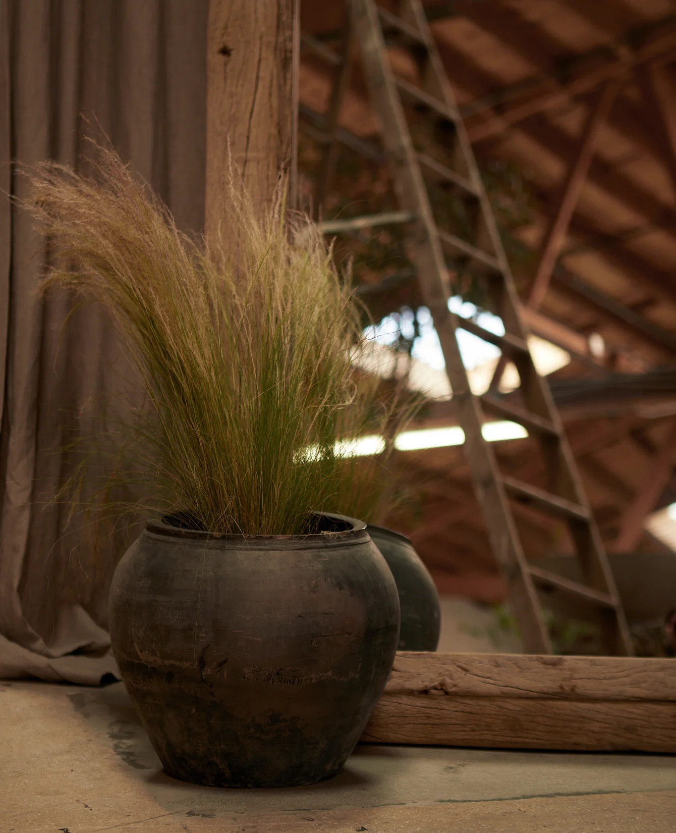 Water Pot | Vintage Pots & Planters | OLIVE ATELIERS | Olive Ateliers