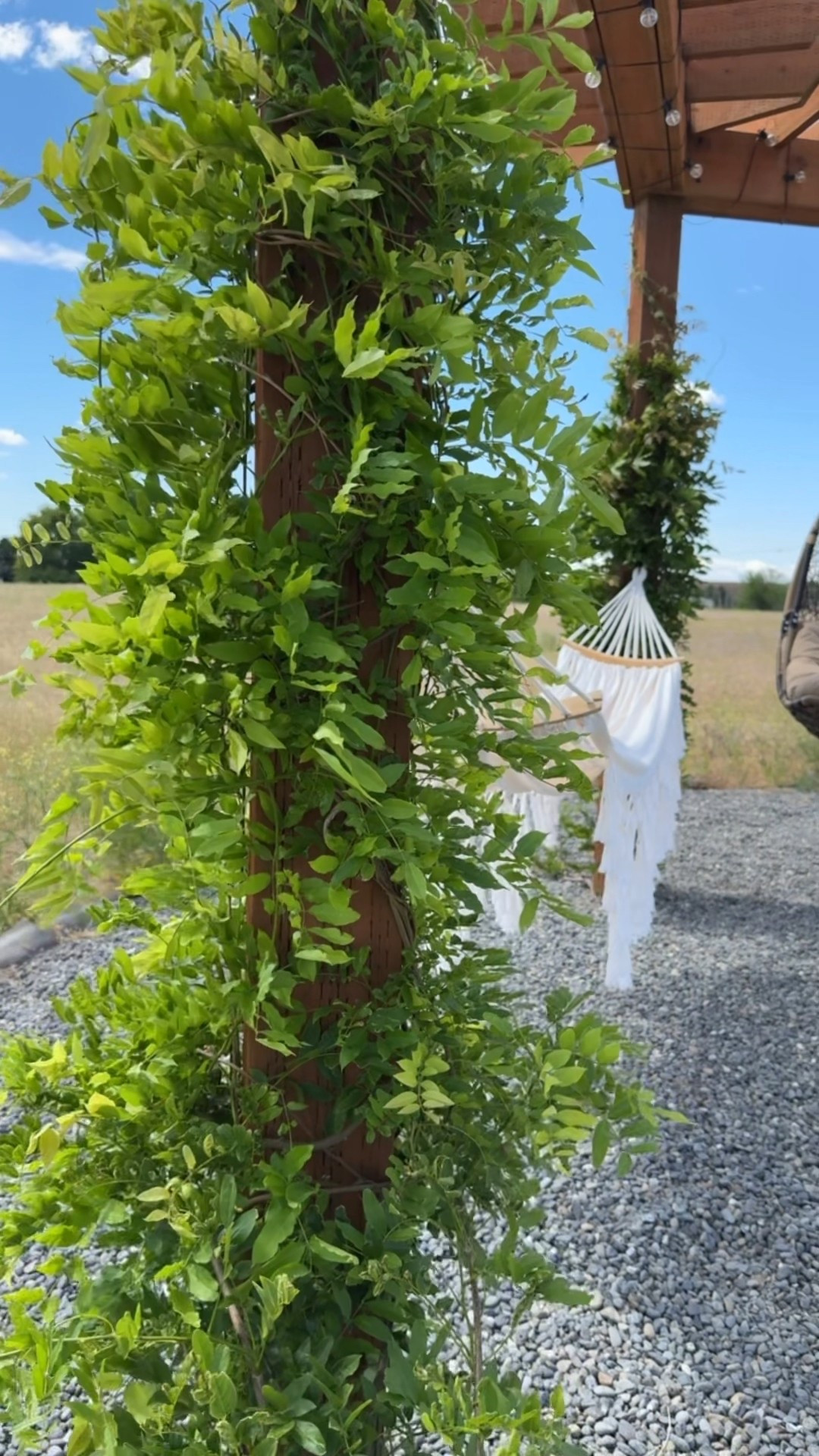 Summer vibes, anyone? 🌿☀️
Our backyard pergola is finally complete. Featuring cozy hanging chairs, a boho hammock, and the dreamiest fire pit setup 🔥 Perfect for relaxing evenings and golden hour hangs. Everything’s linked on my LTK so you can recreate this vibe in your own backyard!


#BackyardGoals #PergolaDesign #OutdoorLiving #DIYBackyard #LTKhome #LTKoutdoor #HomeInspo

#LTKFindsUnder50 #LTKHome #LTKFindsUnder100
