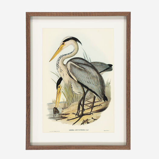 Brown Frame Wall Art 42x32cm | TK Maxx