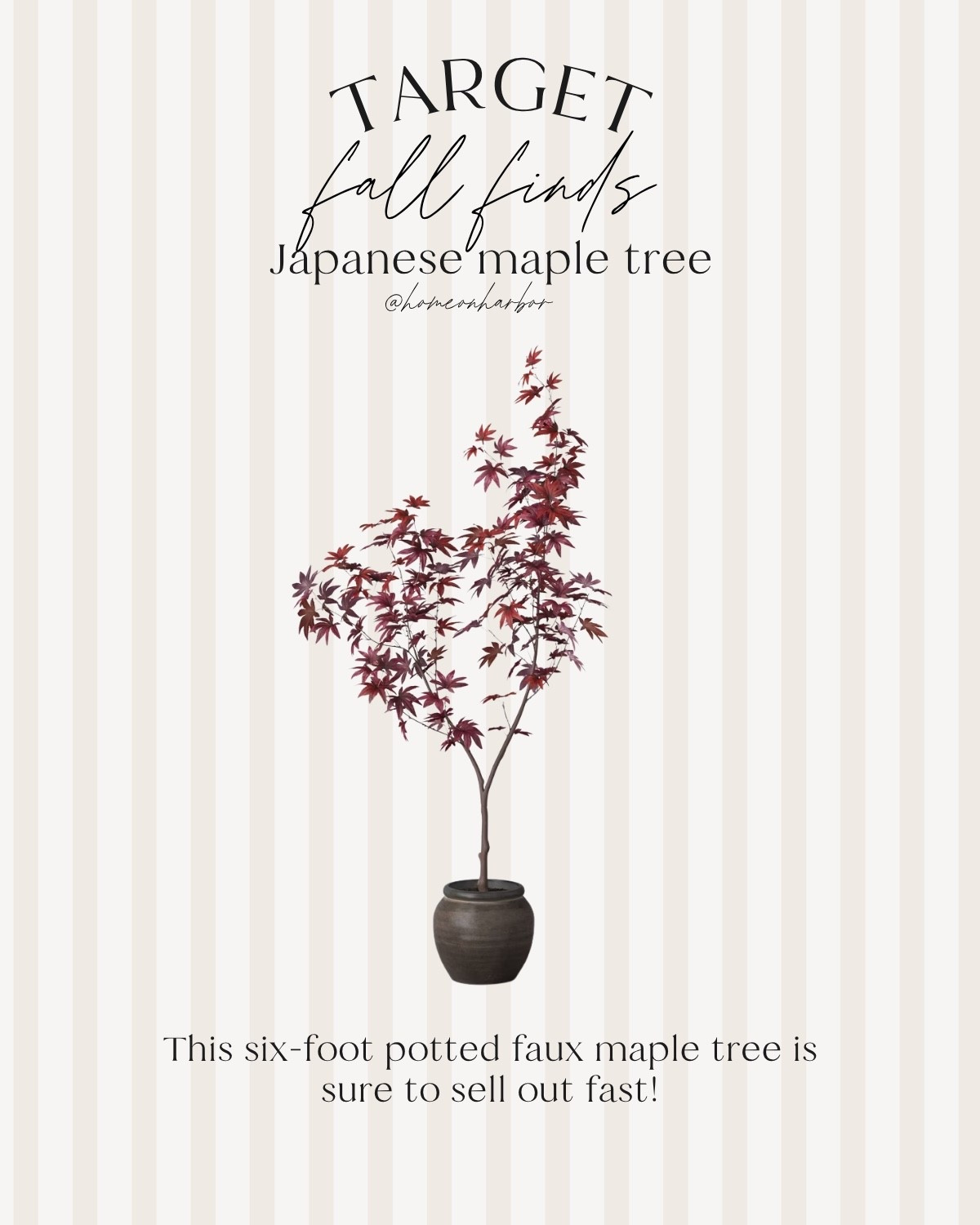 Run don’t walk. This Target Japanese maple tree (with pot!) is a sure sell-out risk!

#LTKSeasonal #LTKHome