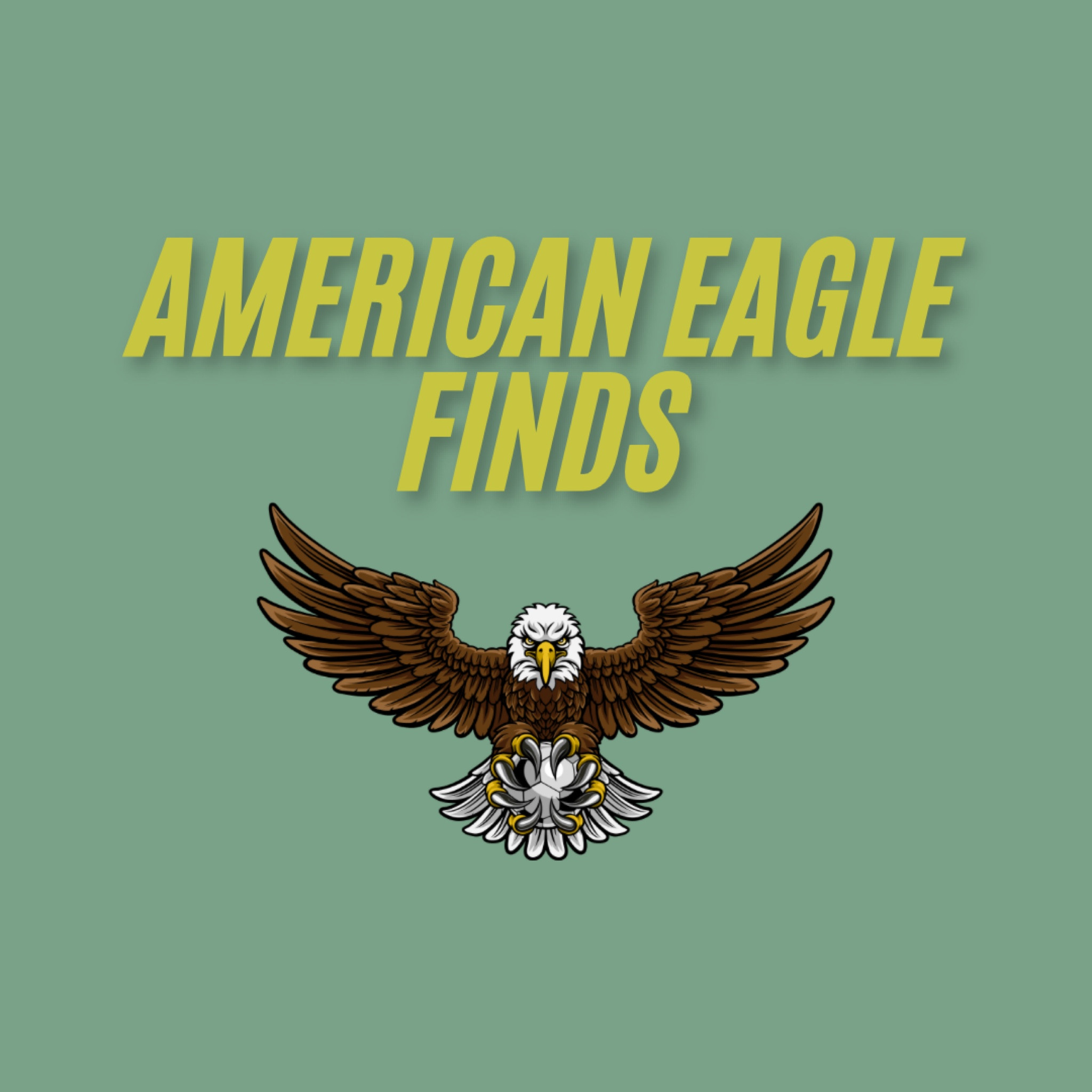 All my fav #AmericanEagle Finds! 
#trendy
#barreljeans
#baggyjeans
#trendyclothes
#lowrisejeans
#cutejeans
#trendyjeans 

#LTKGiftGuide #LTKStyleTip #LTKFindsUnder100