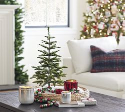 Lit Faux Pine Trees | Pottery Barn (US)