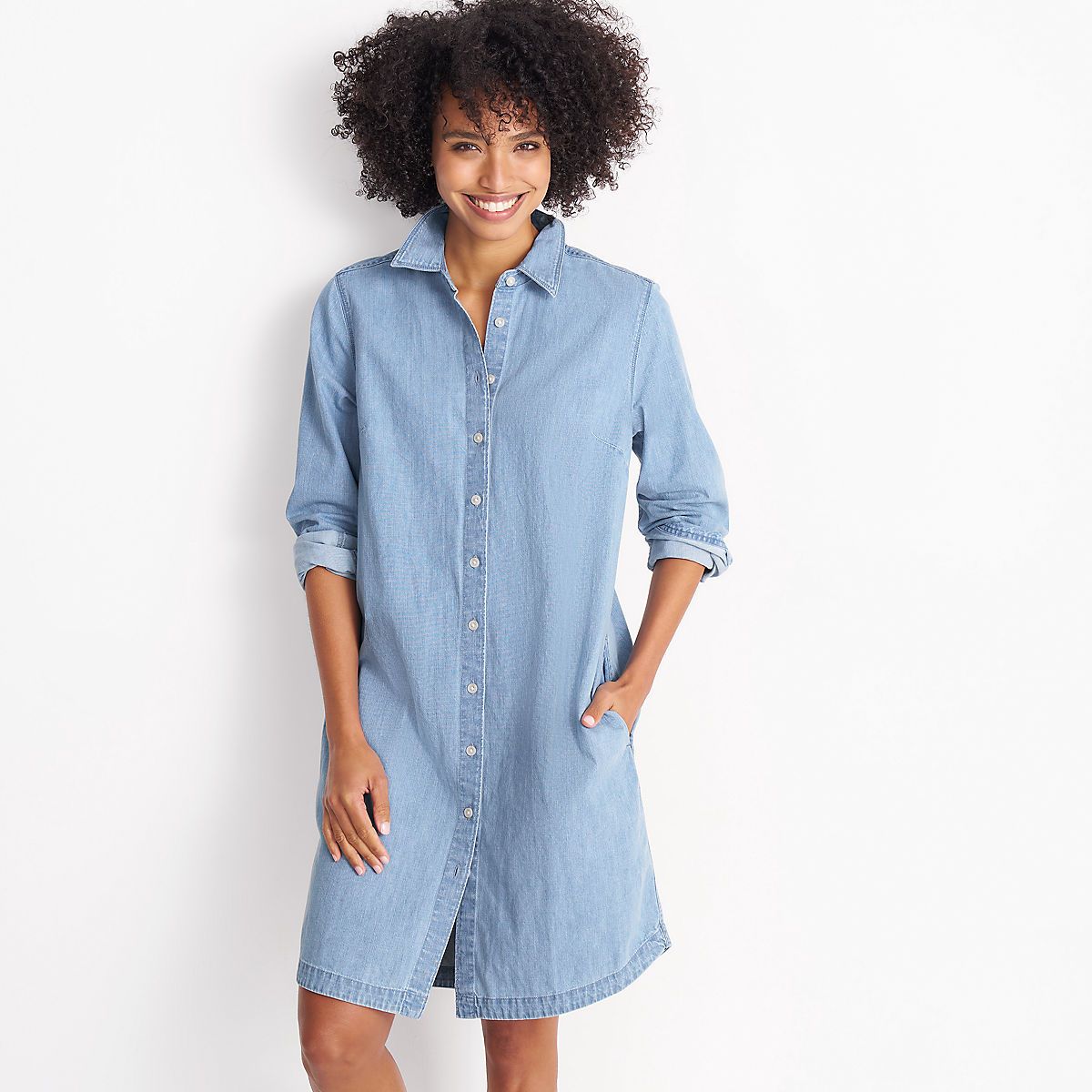 Women's Chambray Button Front Dress | Lands' End (US)