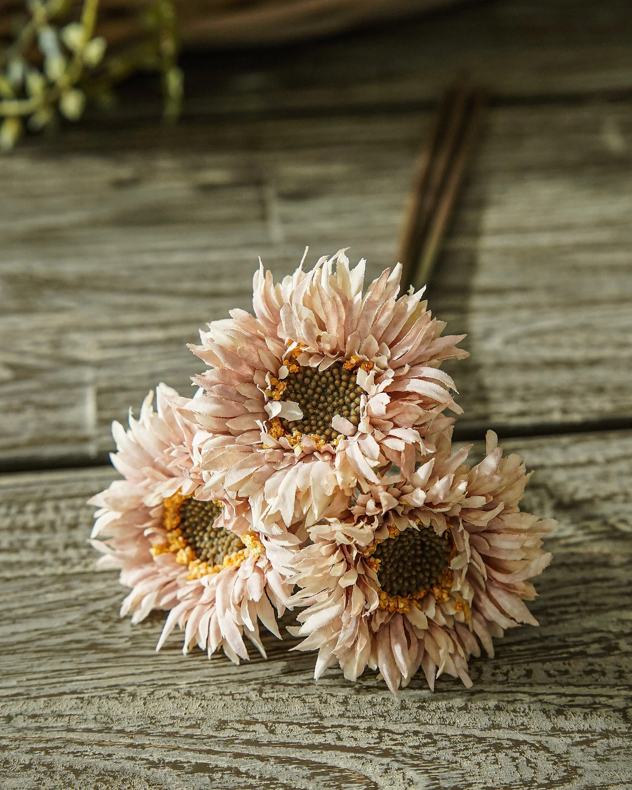 Champagne Blush Fall Daisy Bunch | MJHome
