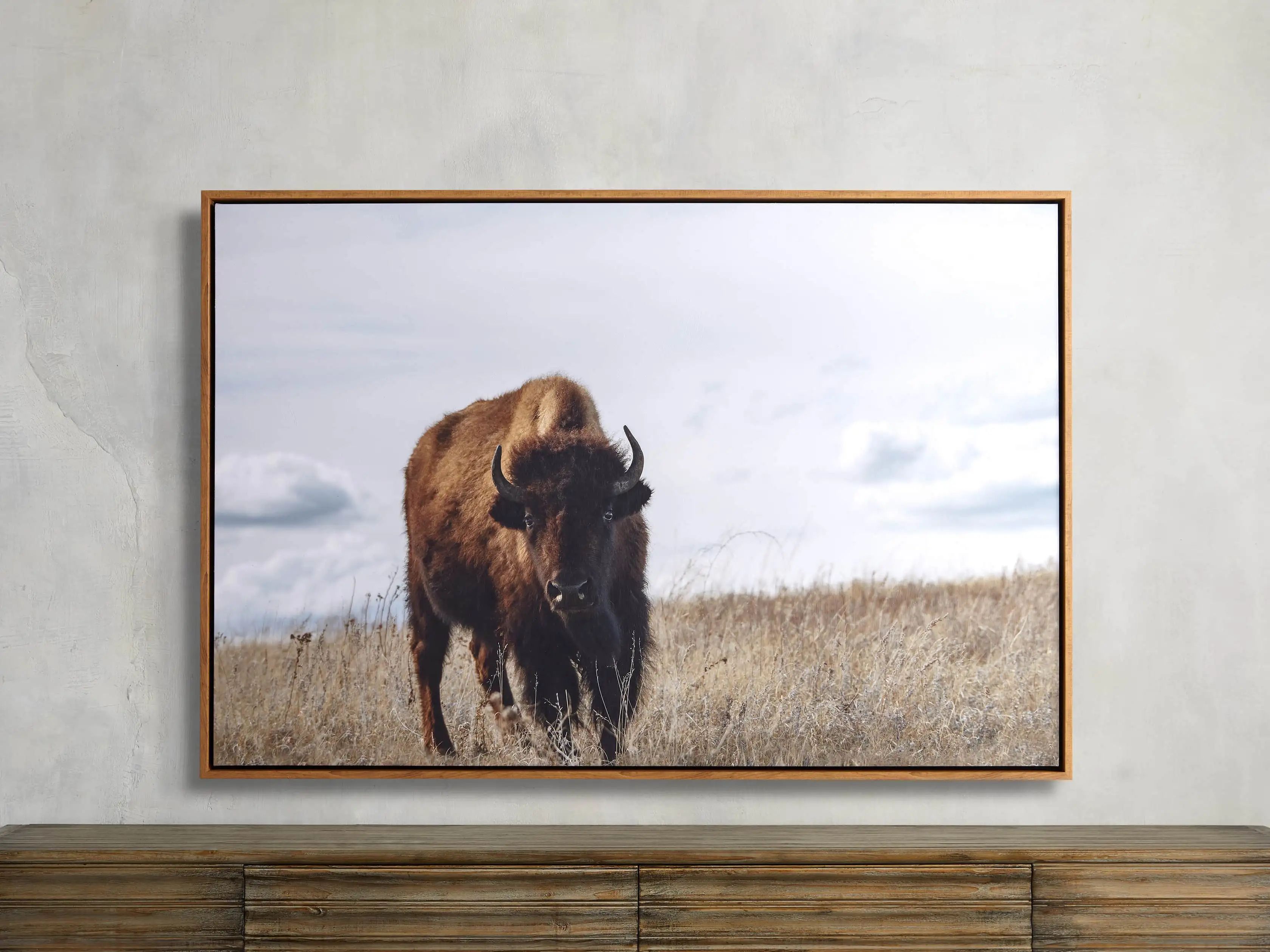 Great Plains I Framed Print | Arhaus