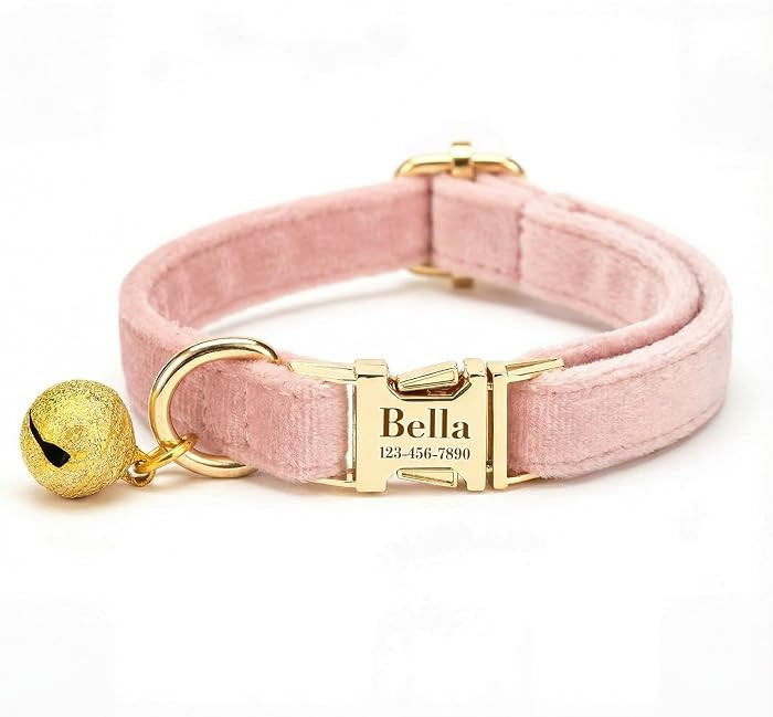 Custom Cat Collar with Bells Personalized Small Cat Collar Engraved Name & Phone Number with Secu... | Amazon (US)
