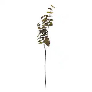 Green & Orange Eucalyptus Stem by Ashland® | Michaels | Michaels Stores