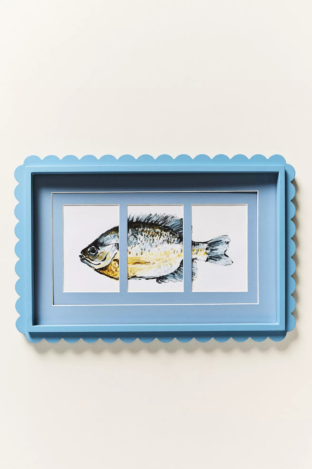 Scallop Fish Frame | Anthropologie (US)