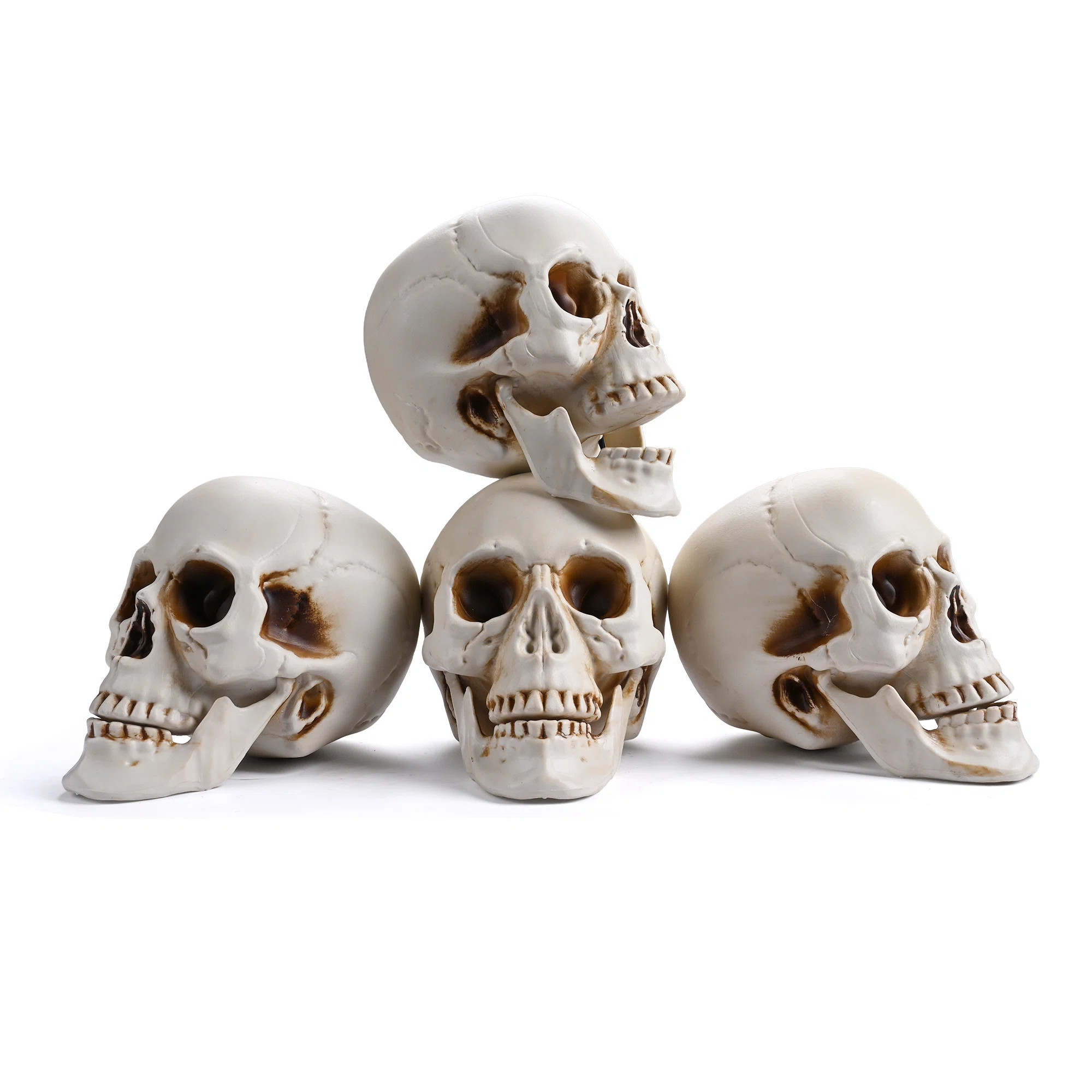 Yesocm 4 Pcs Life Size Skeleton Skull Halloween Realistic Human Model Moving Jaw Outdoor Indoor Decorations | Wayfair North America