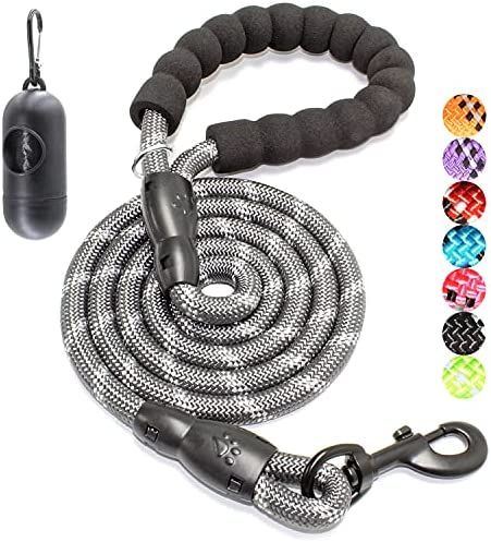 BAAPET 2/4/5/6 FT Dog Leash with Comfortable Padded Handle and Highly Reflective Threads for Smal... | Amazon (US)