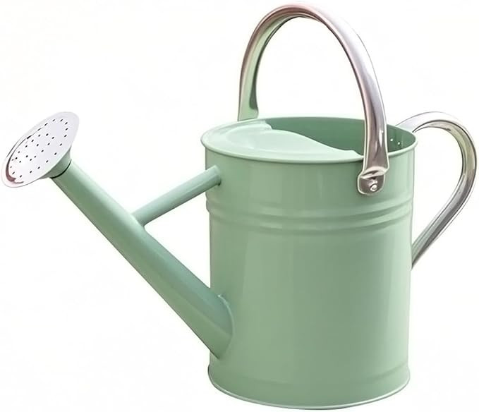 Metal Watering Can, One Gallon Watering Cans Stainless Steel for Outdoor Indoor Garden Plants Wat... | Amazon (US)
