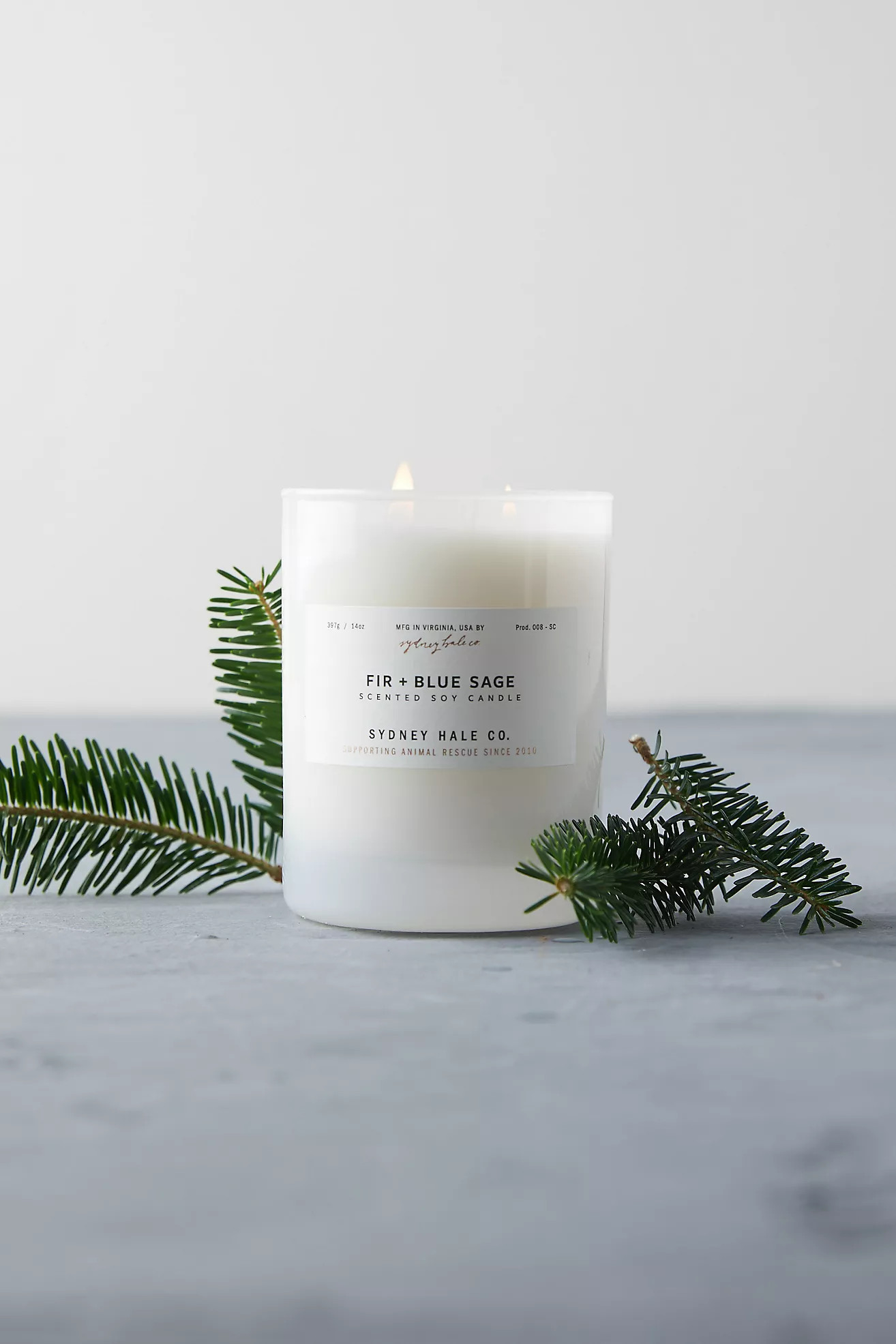 Sydney Hale Candle, Fir + Blue Sage | Anthropologie (US)