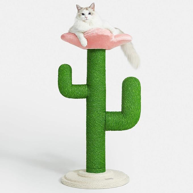 VETRESKA 41.3" Tall Cat Scratching Post with Hammock Cactus Cat Scratchers for Indoor Cats, Verti... | Amazon (US)