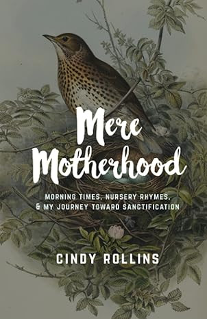 Mere Motherhood: Morning Times, Nursery Rhymes, & My Journey Toward Sanctification | Amazon (US)