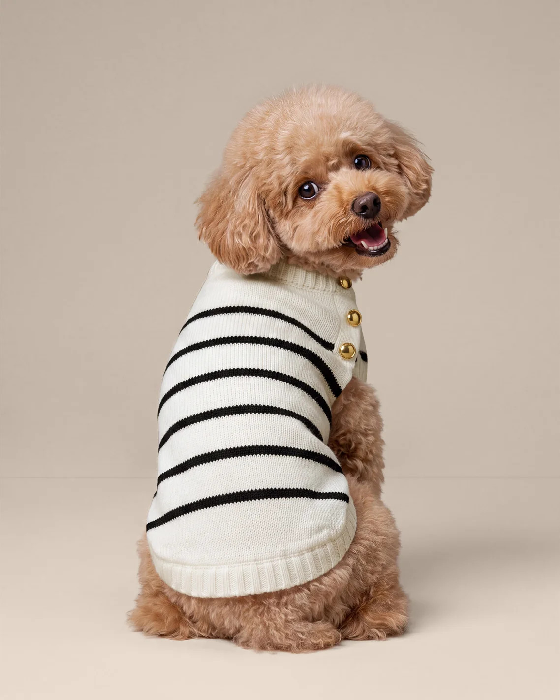 Dog Sweater in Mariner Stripe | Draper James (US)