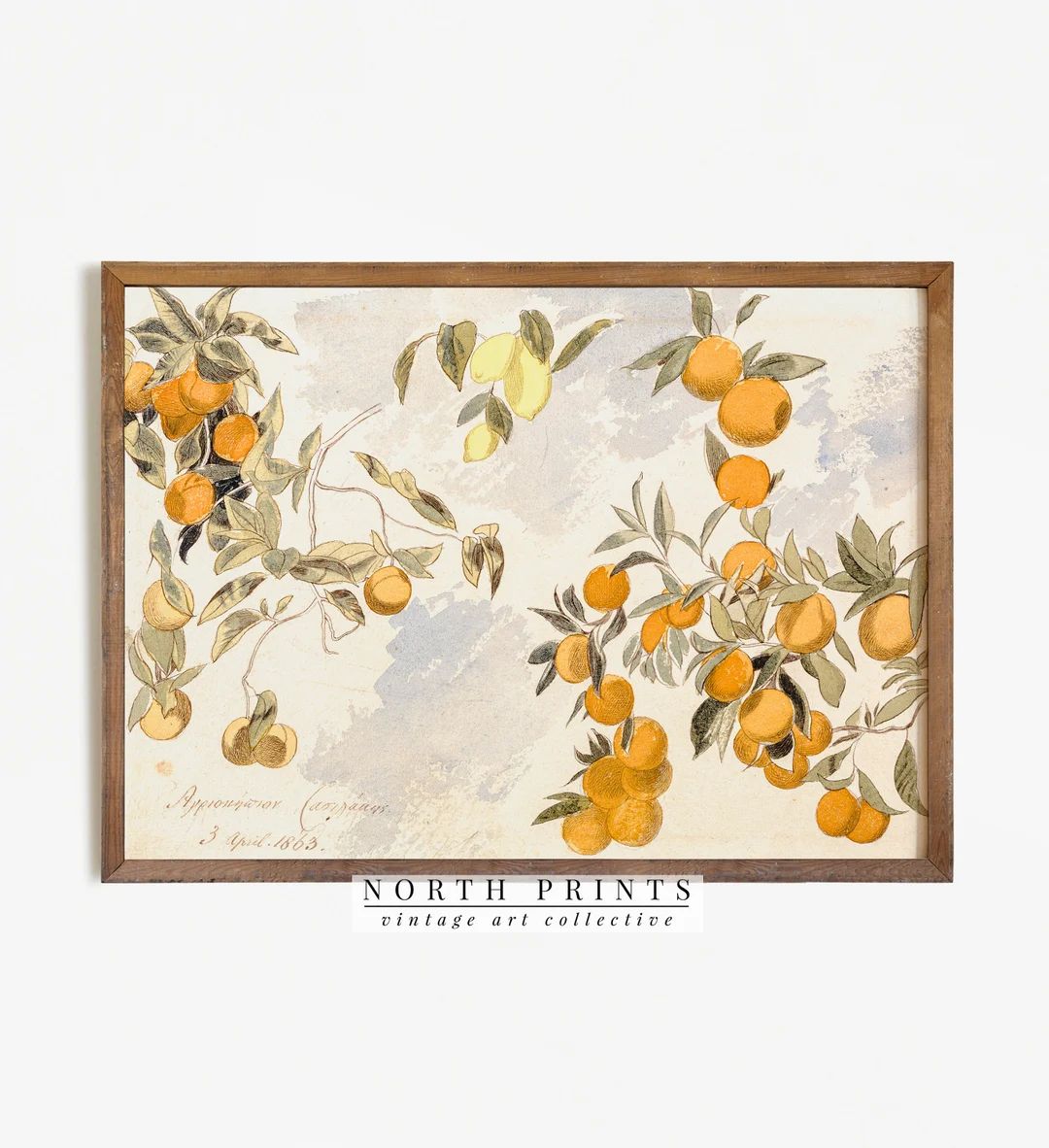 Country Kitchen Fruit Print | Vintage Farmhouse Painting | Orange Lemon PRINTABLE #80 | Etsy (US)