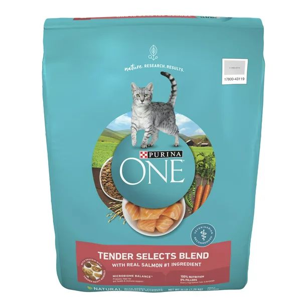 Purina ONE Tender Selects Blend With Real Salmon Digestive Care Natural Dry Cat Food, 16 lb. Bag ... | Walmart (US)