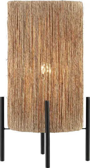 Kai 16.5" Coastal Minimalist Rattan LED Table Lamp, Brown | Nordstrom