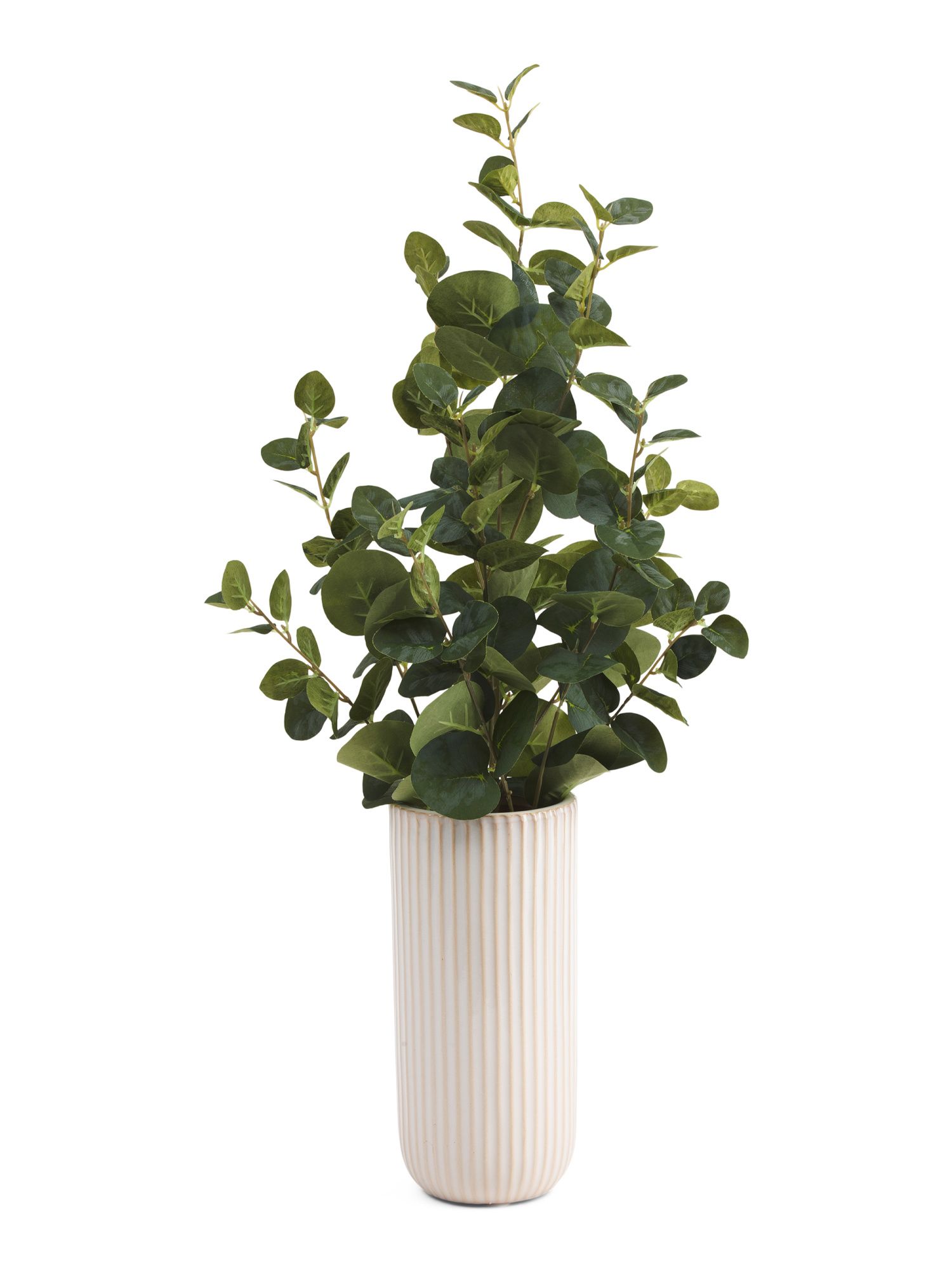 27in Eucalyptus In Lined Ceramic Vase | TJ Maxx