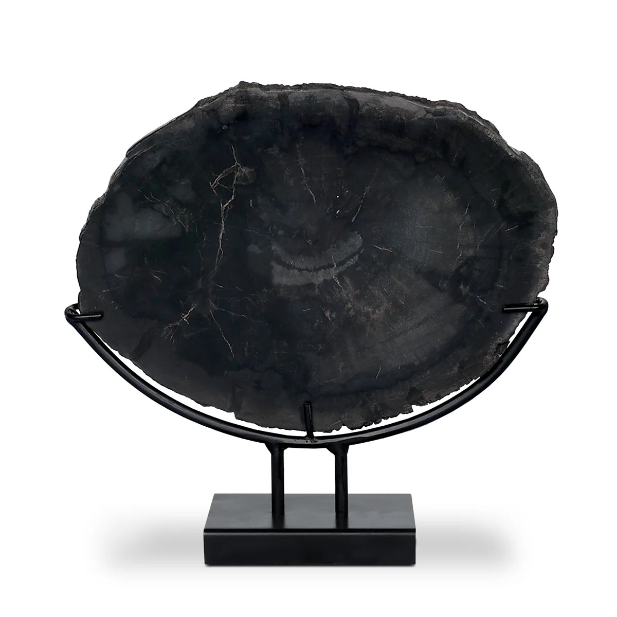 Petrified Wood Sculpture | Perigold