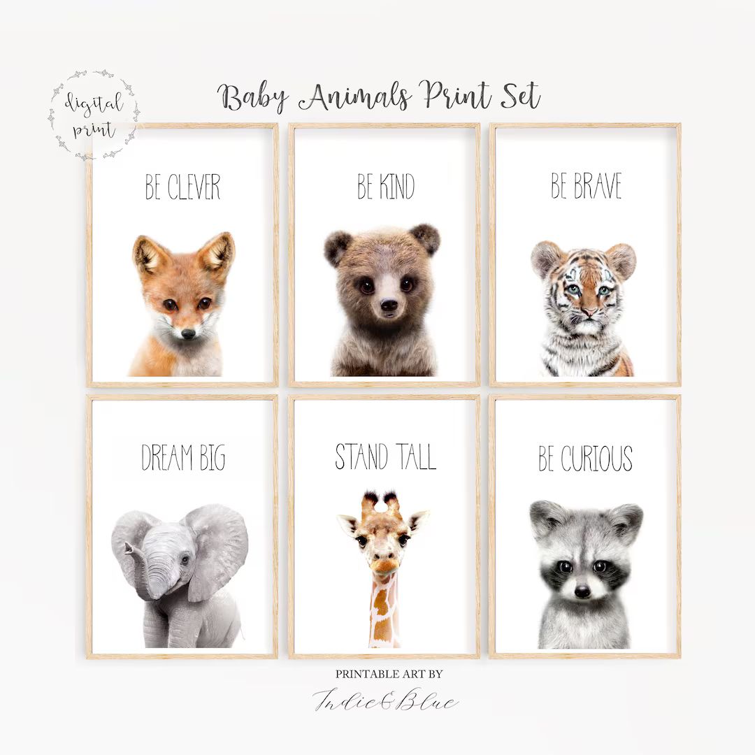 Set of 6 Baby Animal DIGITAL Prints, Printable Nursery Art, Safari Animals, Woodland Nursery, Quo... | Etsy (UK)