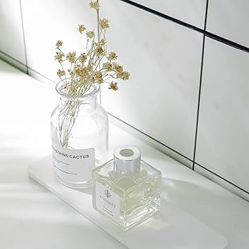 NiuYichee 2 PCS Water Absorbent Diatomite Coasters, Diatomaceous Earth Soap Dish, Water Absorbing... | Amazon (US)