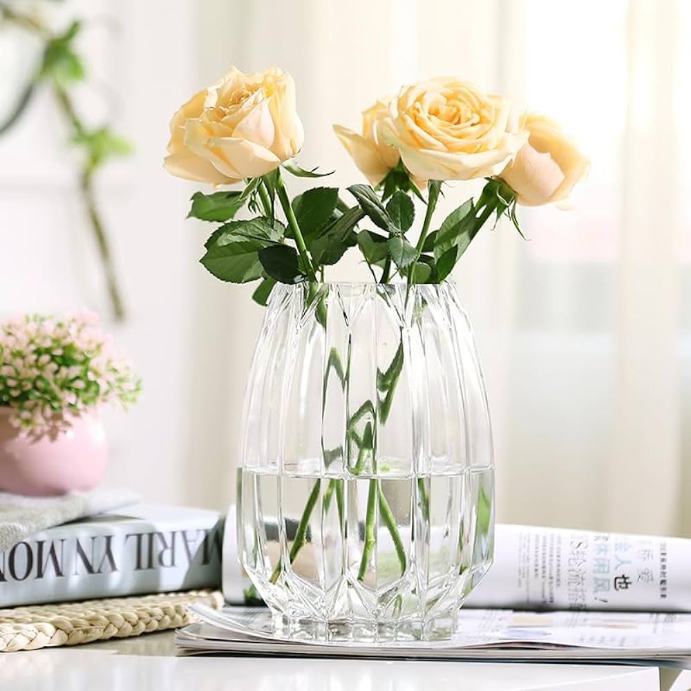 Flower Vase，Glass Vase，7.8 inch，GIDARY Thickened Clear Ribbed Glass Vase for Bookshelf,Dinn... | Amazon (US)