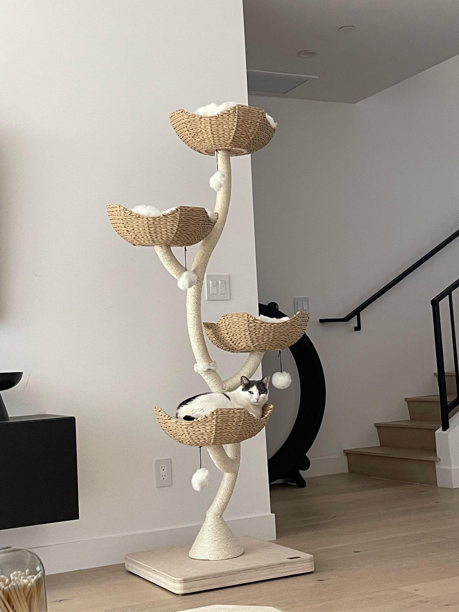 Mau pets cat tree 

#LTKStyleTip #LTKKids #LTKHome