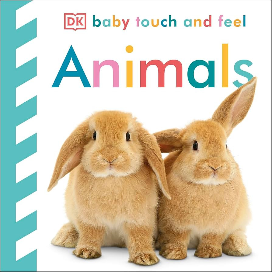 Baby Touch and Feel: Animals | Amazon (US)