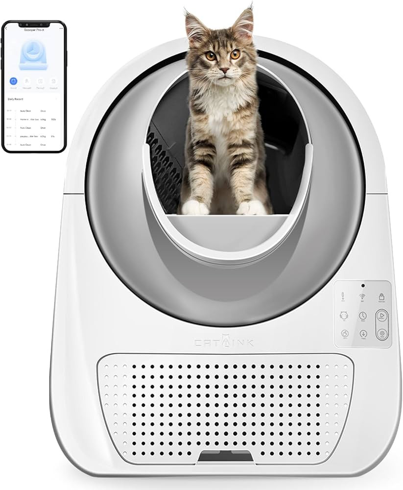 CATLINK Self Cleaning Automatic Litter Box for Cats - Hands-Free Cleanup with App Control, Double... | Amazon (US)