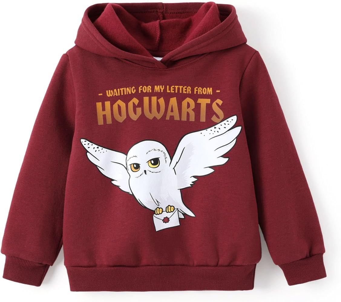Harry Potter Hoodie for Kids Girls Boys Gryffindor Slytherin Ravenclaw Hufflepuff Pullover Hooded... | Amazon (US)
