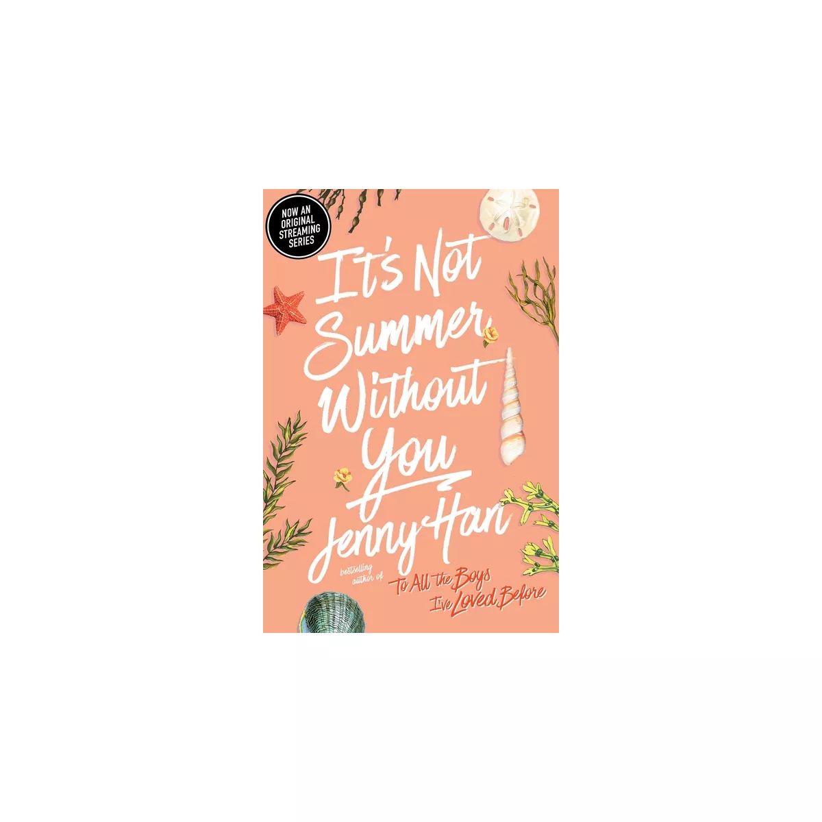 It's Not Summer Without You ( Summer) (Reprint) (Paperback) by Jenny Han | Target