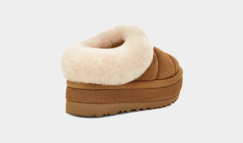 Tazzlita | UGG (US)