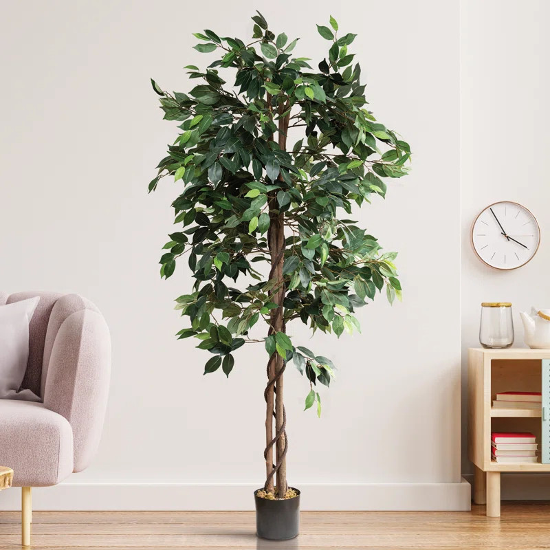 Faux Ficus Tree in Planter | Wayfair North America