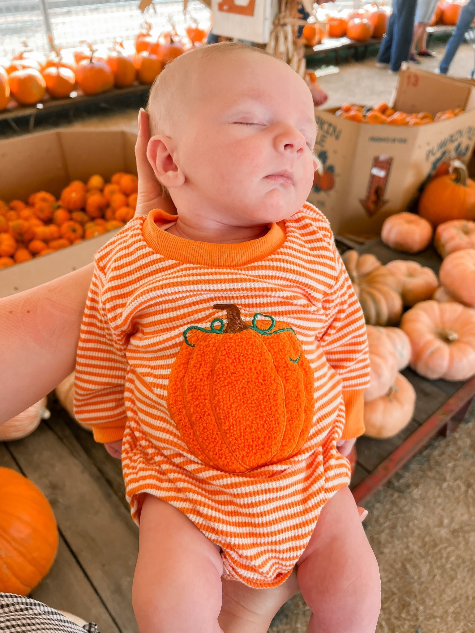 The cutest pumpkin in the patch 🎃🧡  Today was Walker’s first outing that wasn’t the pediatrician and he slept the whole time! 

Linking his adorable pumpkin outfit that’s only $11 🙌🏼 

#LTKHalloween #LTKBaby