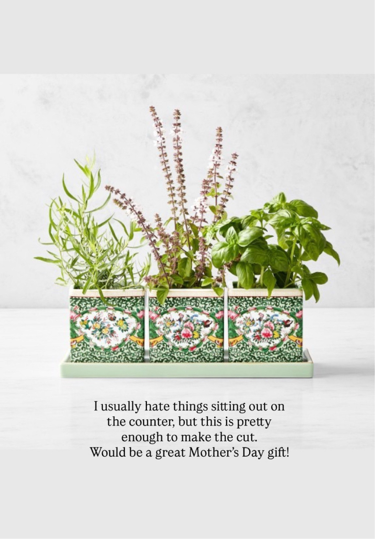 If you need a Mother’s Day gift, this is it! I normally don’t love things laying out on the counter, but this planter is so pretty! Would be great for your mother or mother-in-law, or someone who you feel like has it all!

#LTKMothersDay