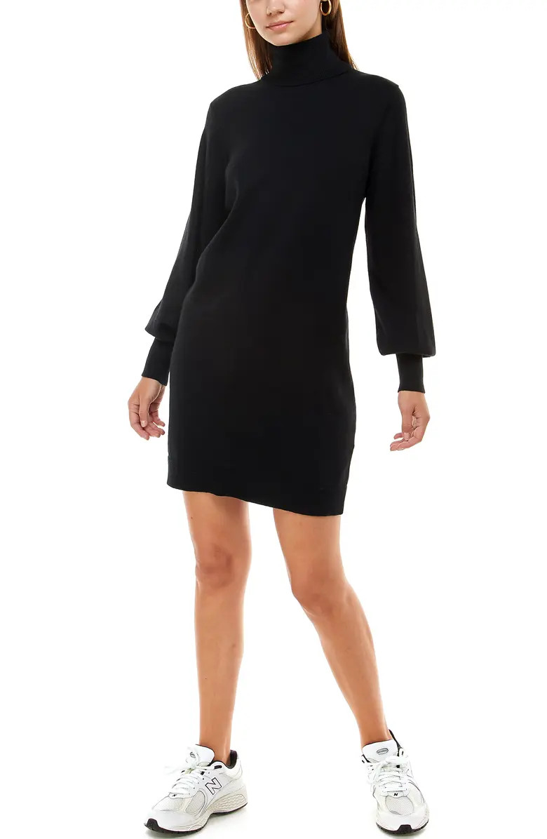 Morela Long Sleeve Turtleneck Sweater Dress | Nordstrom