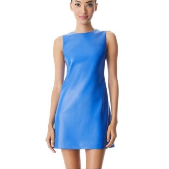 Alice and Olivia vegan leather dress 6 | Poshmark