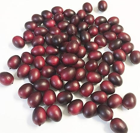 Zimmerman Marketplace Artificial/Fake Cranberry bag of 72 | Amazon (US)