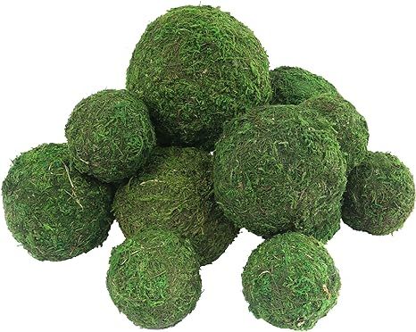 Moss Ball Preserved Natural Green Decorative Moss Ball Hanging Balls Table Decor Bowl Vase Filler... | Amazon (US)